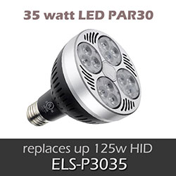 ELS 35 watt LED PAR30 Lamp