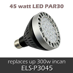 ELS 45 watt LED PAR30 Lamp