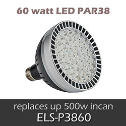 ELS 60 watt LED PAR38 Lamp