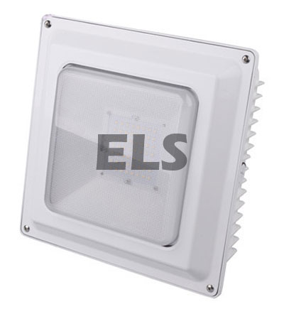 ELS LED Canopy Lights